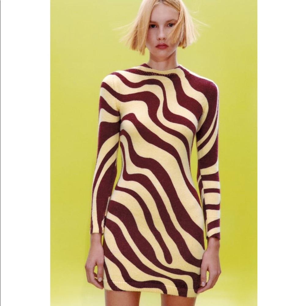 Zara Knit Dress